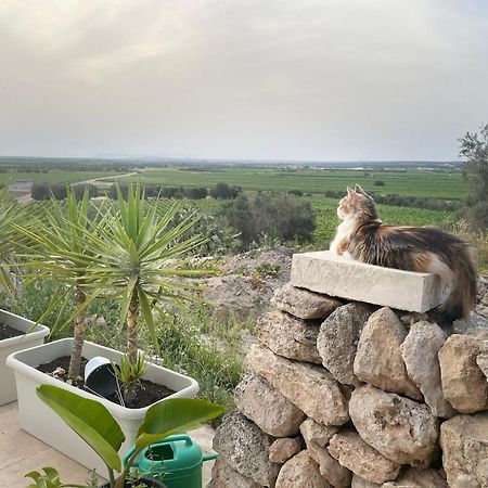 B&B Borgo Monacizzo Eksteriør bilde