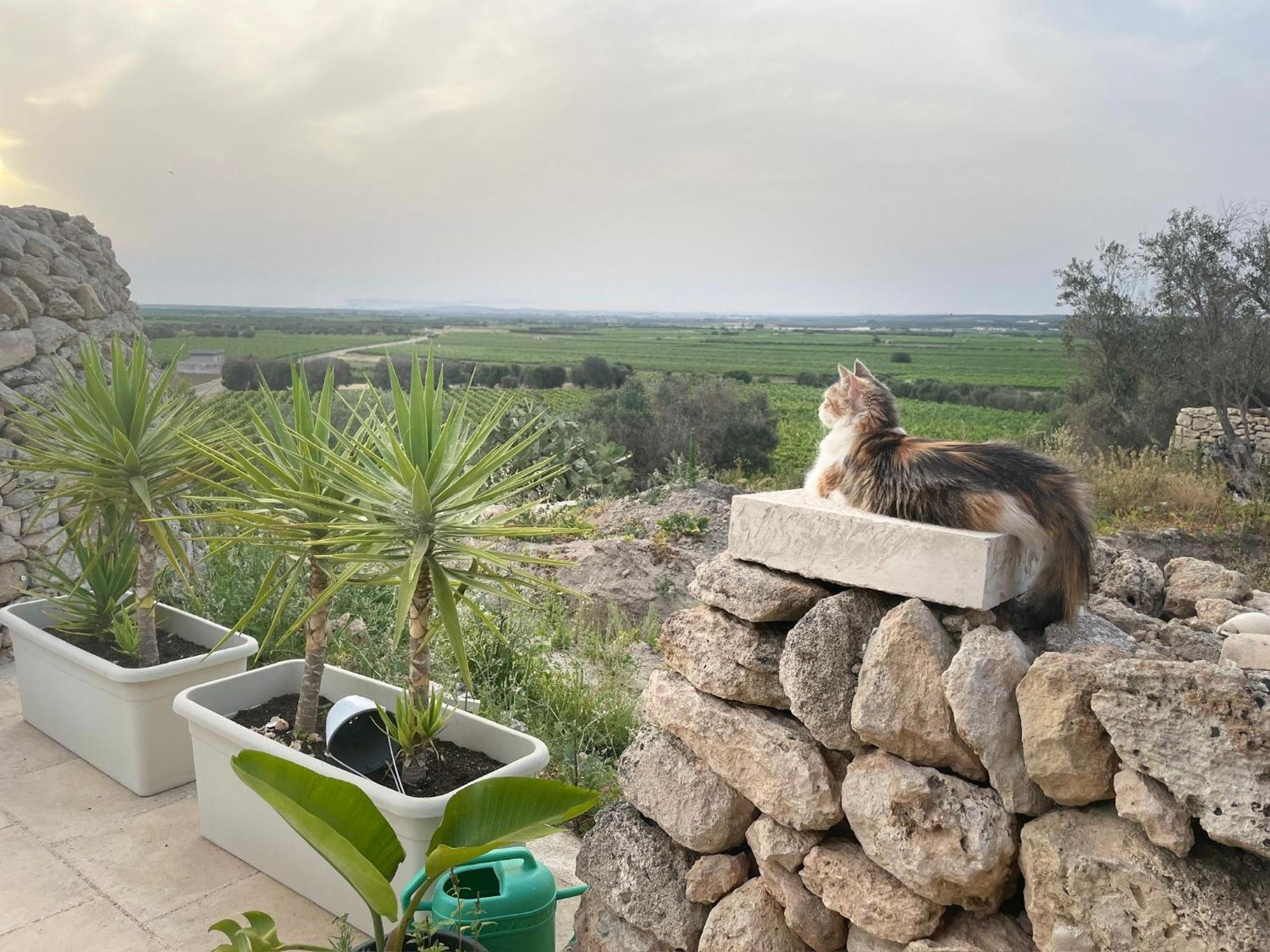B&B Borgo Monacizzo Eksteriør bilde